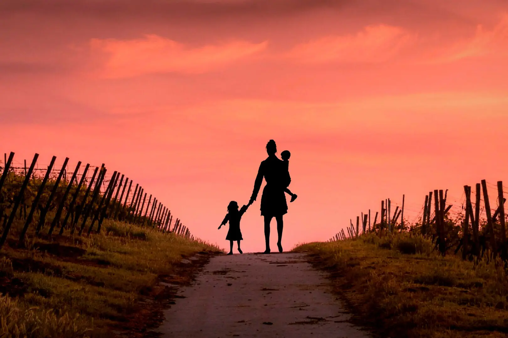 Why To Revise Your Estate Plan After Divorce