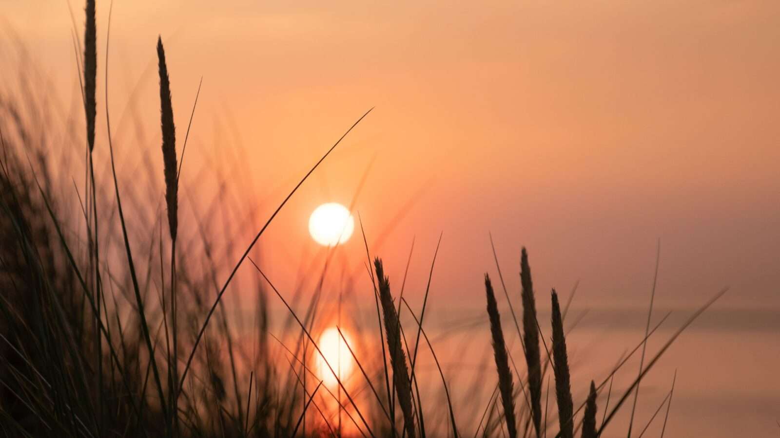 Starting Fresh After Divorce: Legal Steps That Support Your New Chapter