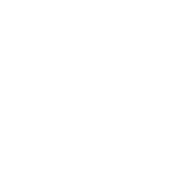 Best of the Best Tampa