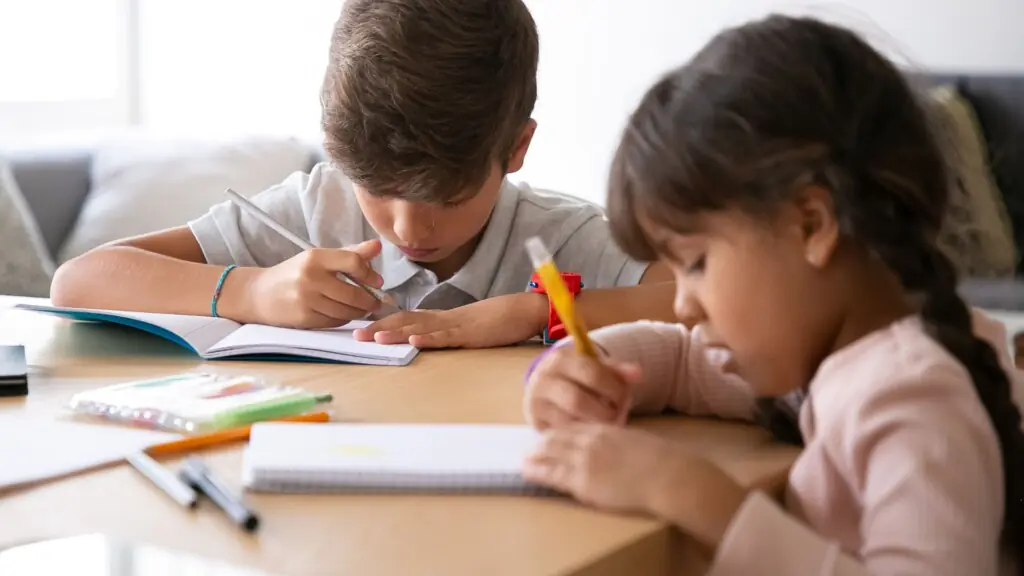 My Ex Wants to Homeschool Our Kids: What Are My Rights?